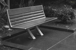Photo: The Featured Bench (2013 Collection)