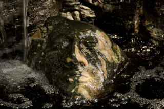 Image: The Face, 2013 from Ryan McKenna Apprentice Collection