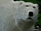 Photo: The White Bear (2010 Collection)