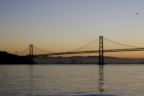 Photo: Early Bird - Bay Area (2014 Collection)